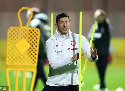 九游-TheShy巅峰对决,莱万多夫斯基与60激战曼联分钟,挺进下一轮胜负难料!的简单介绍